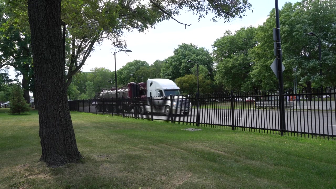 Heavy traffic under the silence of a park.
