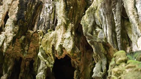 person explores cave with stunning rock formations