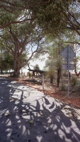 australian outback road