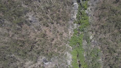 Aerial-View-Of-Davies-Creek-And-Bare-Hill-Conservation-Park-In-Queensland,-Australia