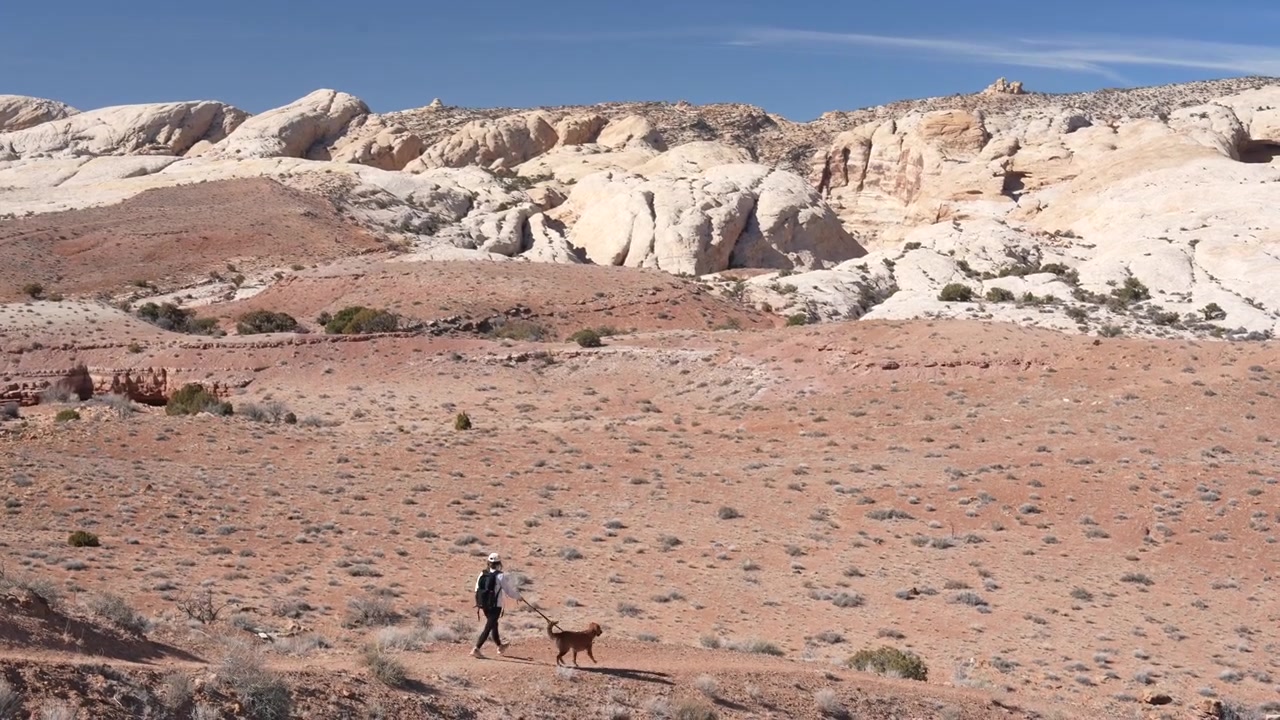 Donna e cane su un sentiero escursionistico nel paesaggio desertico dello Utah, USA. Wild Horse Window Trailhead