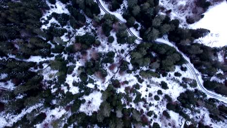 Vista-Aérea-De-Arriba-Hacia-Abajo-De-Una-Sinuosa-Carretera-De-Montaña-Entre-Bosques-Nevados-Durante-El-Invierno-En-Altos-Vosgos,-Francia