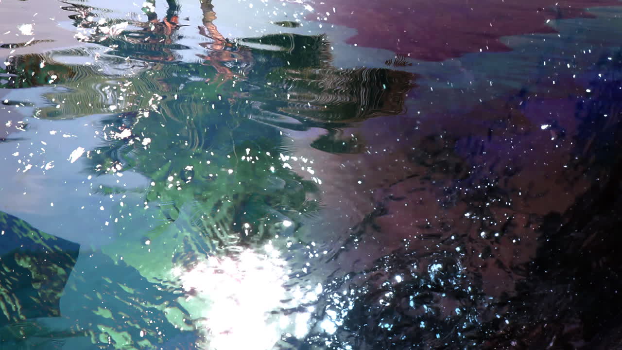 reflejo de la palma 02