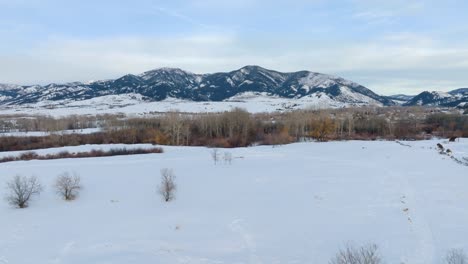 boseman montana aerial winter flyover past trees over snowy suburban park with mountain backdrop with 4k drone during golden hour