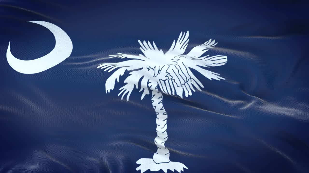 la bandera de carolina del sur (estado de los estados unidos) ondeando en el viento con una textura de tela muy detallada. bucle sin costuras