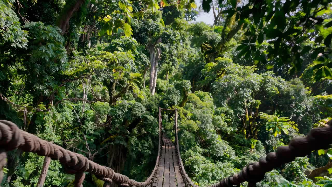 Aerial video view of a suspension bridge in a lush jungle, showcasing dense greenery and rugged