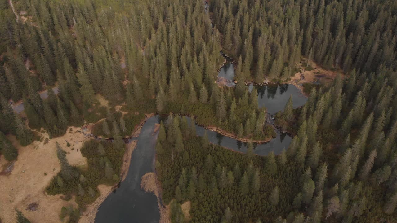 increíble rodaje en 4k con un mavic air sobrevolando el curso de un río en el parque nacional de tatry, polonia