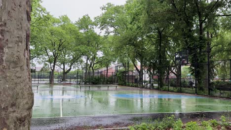 static shot of a wet basketball court in bushwick, framed by trees and a passerby in the background.
