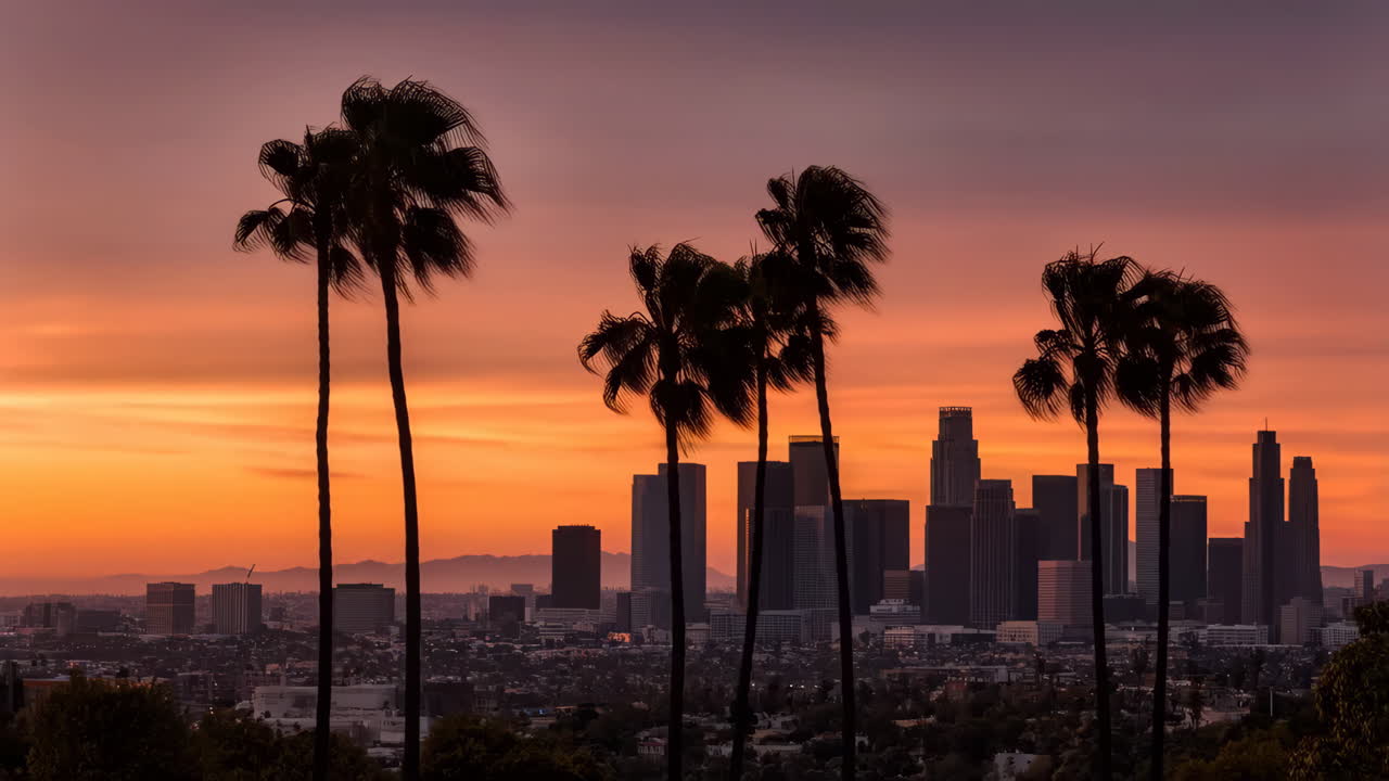 Tramonto vivace sullo skyline di Los Angeles con palme