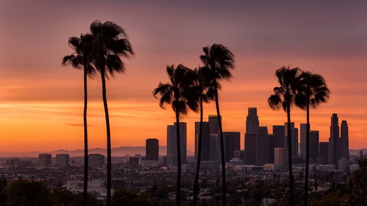 Tramonto vivace sullo skyline di Los Angeles con palme