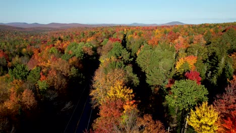 Luftaufnahme-Der-Herbstblätter-In-Der-Bewaldeten-Landschaft-Neuenglands