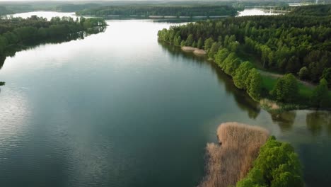 Luftaufnahme-Der-Kleinen-Insel-Am-Wdzydze-see-In-Polen