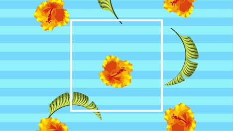 summer tropical template