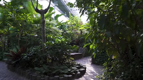 a scene inside of a botanical garden in south korea (shoot info: cin2, 1080p, 23.97fps slowmotion from 59.94fps)
