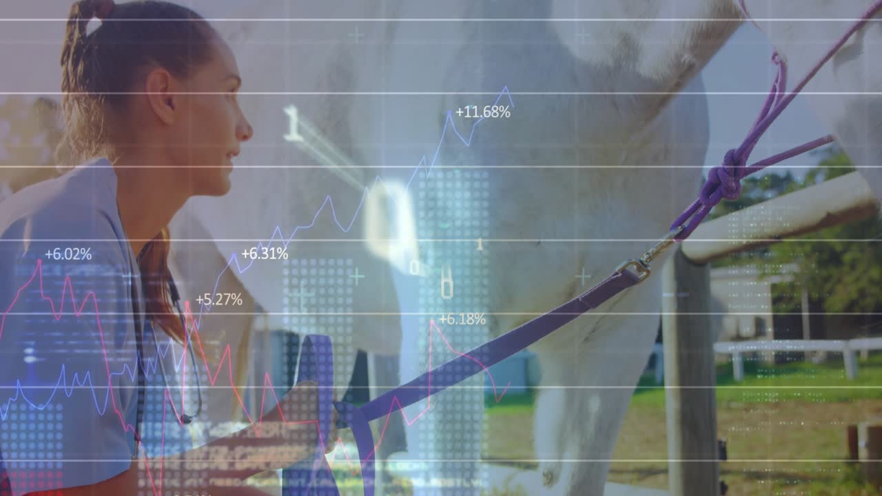 Vet approaching horse, securing rope through halter and stroking neck with animated charts