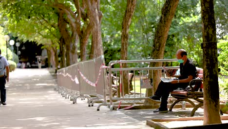 a person sits quietly in a park