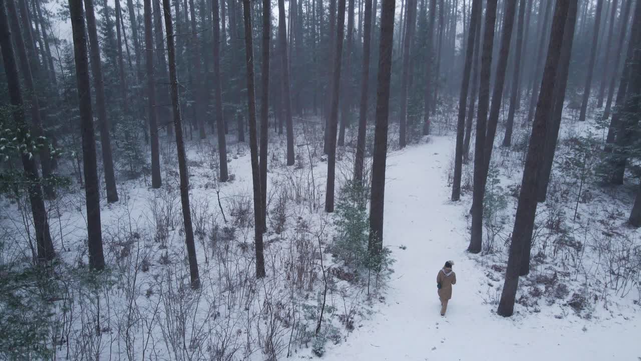 disparo de dron panorámico hacia abajo de una mujer joven caminando hacia un bosque de pinos durante una tormenta de invierno en las zonas rurales de canadá