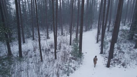 downwards panning drone shot of a young women walking into a pine forest during a winter storm in rural canada