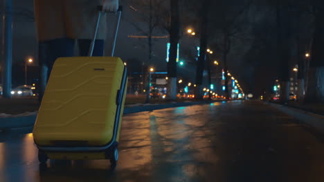 female traveler walking in the city with trolley bag