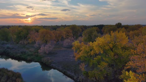 A-vibrant-fall-display-of-color-in-sky-and-tree-along-the-Platte-river-in-Colorado