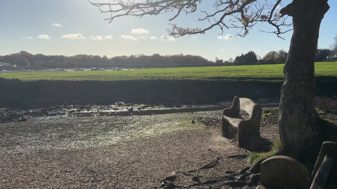 Bænk med udsigt over mudderfladerne ved floden Hamble i Manor Farm Country Park i Hampshire. Solbeskinnet efterårslandskab med tidevandskystlinje, modent træ og fredfyldt landskabsudsigt