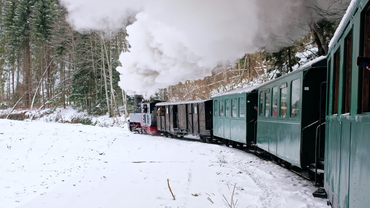 Vista del treno a vapore in movimento Mocanita dall'interno, foresta spoglia in inverno, neve, riprese dei passeggeri, Romania