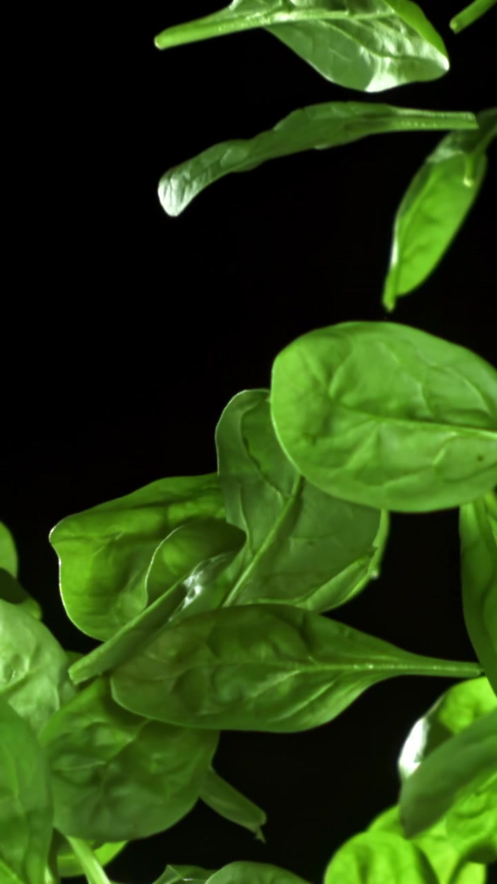 Foglie di spinaci verde brillante che galleggiano verso l'alto al rallentatore