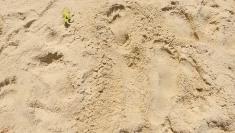 human footprints on the beach sand
