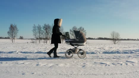 beautiful winter morning walk with baby carriage, single mother in dark jacket