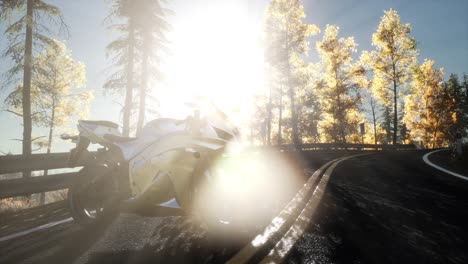 sportbike on tre road in forest with sun beams