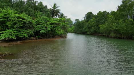 Flying-close-to-the-water-in-Caue-River-in-the-middle-of-forest-revealing-the-peak-Cão-Grande,an-elevation-of-volcanic-origin,-located-in-the-south-of-São-Tomé,-in-the-Ôbo-Natural-Park