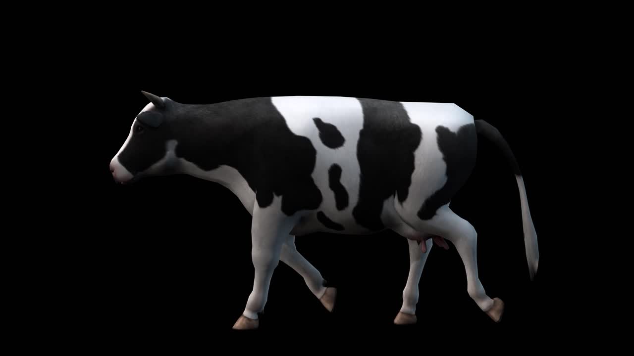 una vaca caminando sobre fondo negro con canal alfa incluido al final del video, animación 3d, vista lateral, animales animados, animación de bucle sin costuras