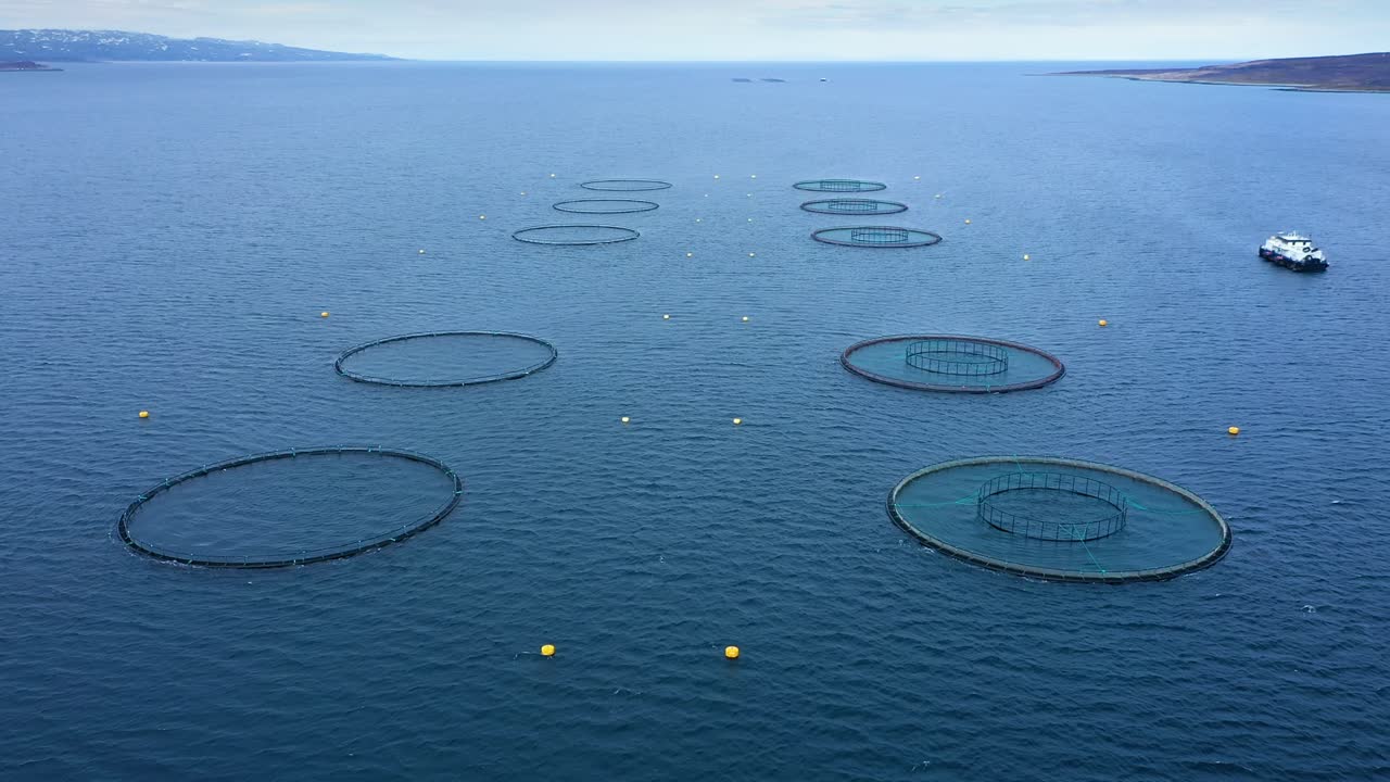 노르웨이에서 연어  ⁇ 시를 하는 공중 촬영