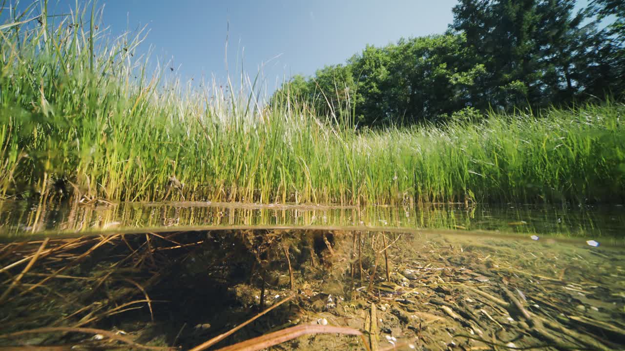 오버워터와 언더워터 스플릿 뷰