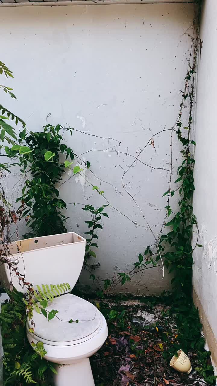 Abandoned Toilet Overgrown with Plants
