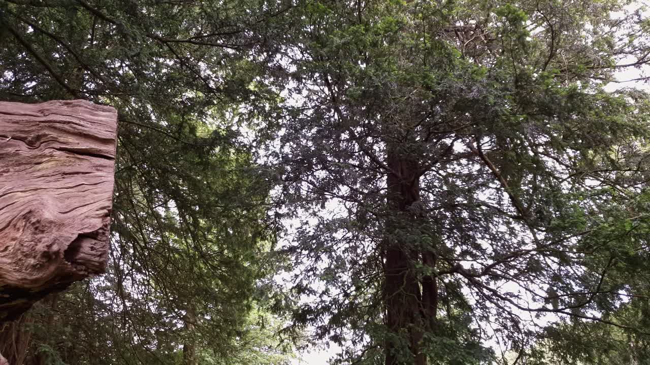 pasó algún tiempo en una casa señorial y los terrenos