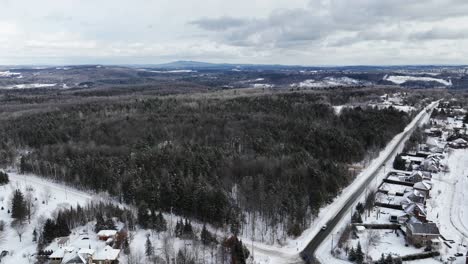 spruce forest on snowy landscape in winter in quebec, canada