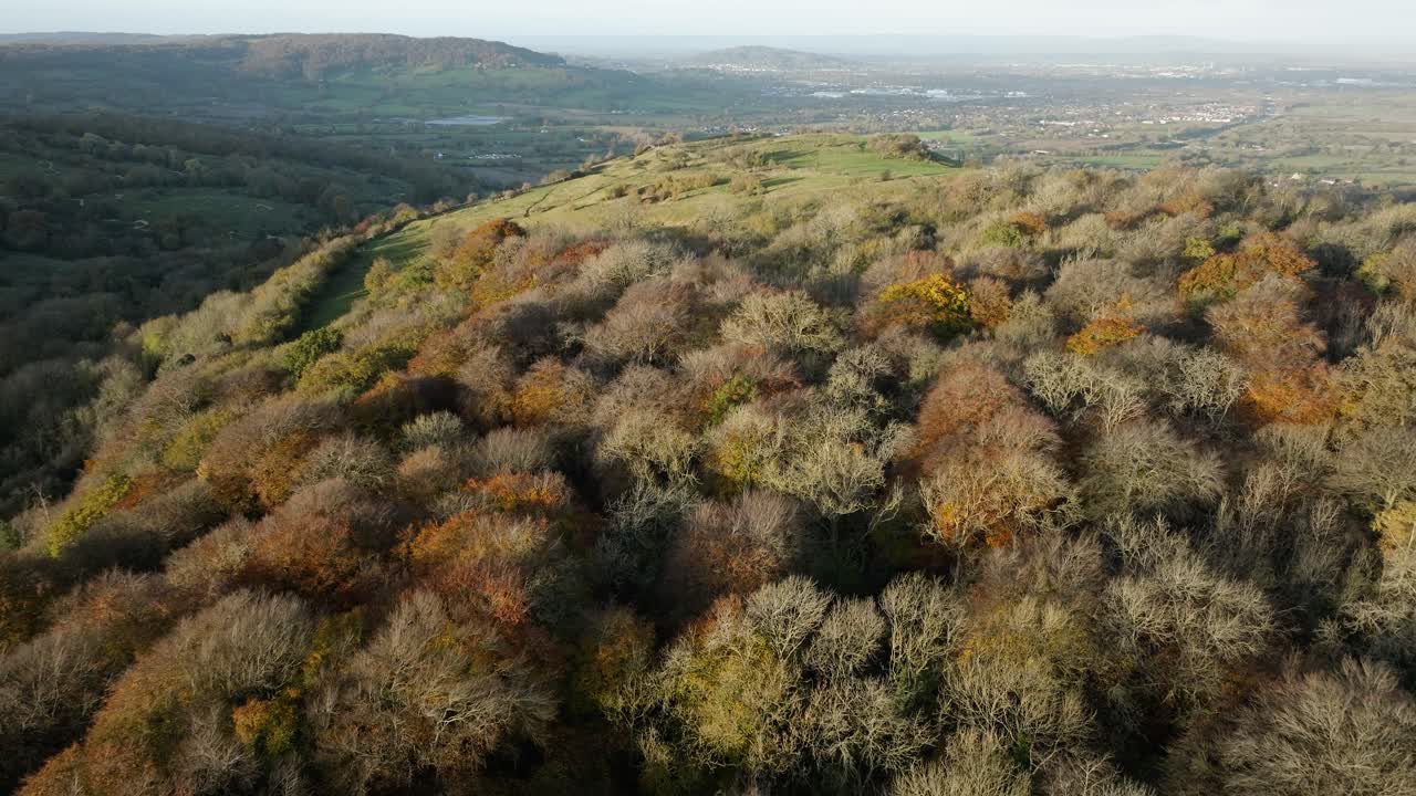 árboles de otoño parque de campo del reino unido cotswolds crickley hill bosque paisaje aéreo
