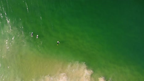 aerial drone bird's-eye view of bodyboarder waiting landscape of ocean floor sandbar coastline break waves tourism travel the entrance nsw central coast australia 4k