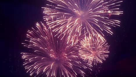 magnífico espectáculo de fuegos artificiales multicolores en el fondo del cielo estrellado