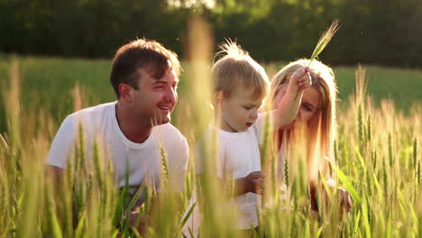 little smiling boy sitting in a wheat on the field. summer nature, walking outdoors. childhood happiness