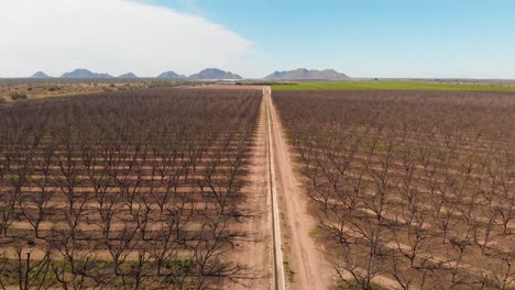 aerial drone footage of field of sowing in hermosillo sonora mexico - flying over view 1