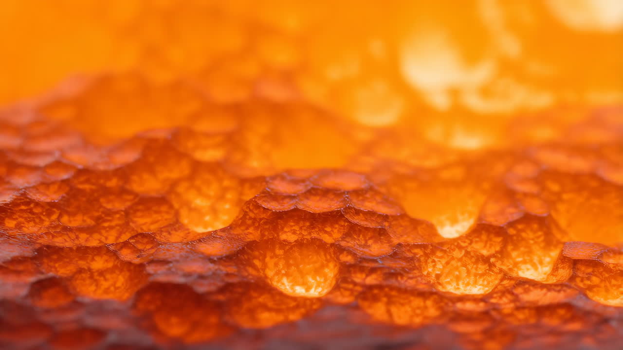 Macro Abstract Orange Organic Texture with Droplets