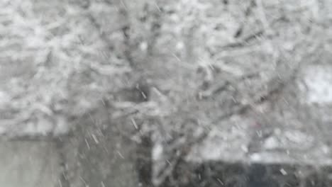 falling snow. blurred winter background