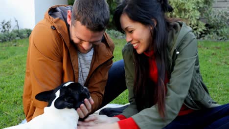 pareja afectuosa jugando con su perro mascota 4k