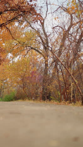 pintorescos caminos de otoño del parque alineados con vibrantes follajes dorados, naranjas y rojos, las hojas caídas añaden una rica textura al suelo, mientras que los árboles se arquean sobre el camino