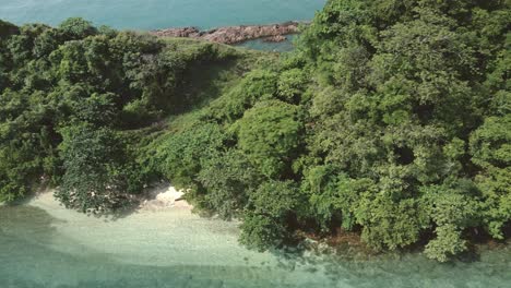 Luft-LKW-Schuss-Küste-Tropische-Insel-Strand-Dschungel-Türkisfarbenes-Meer