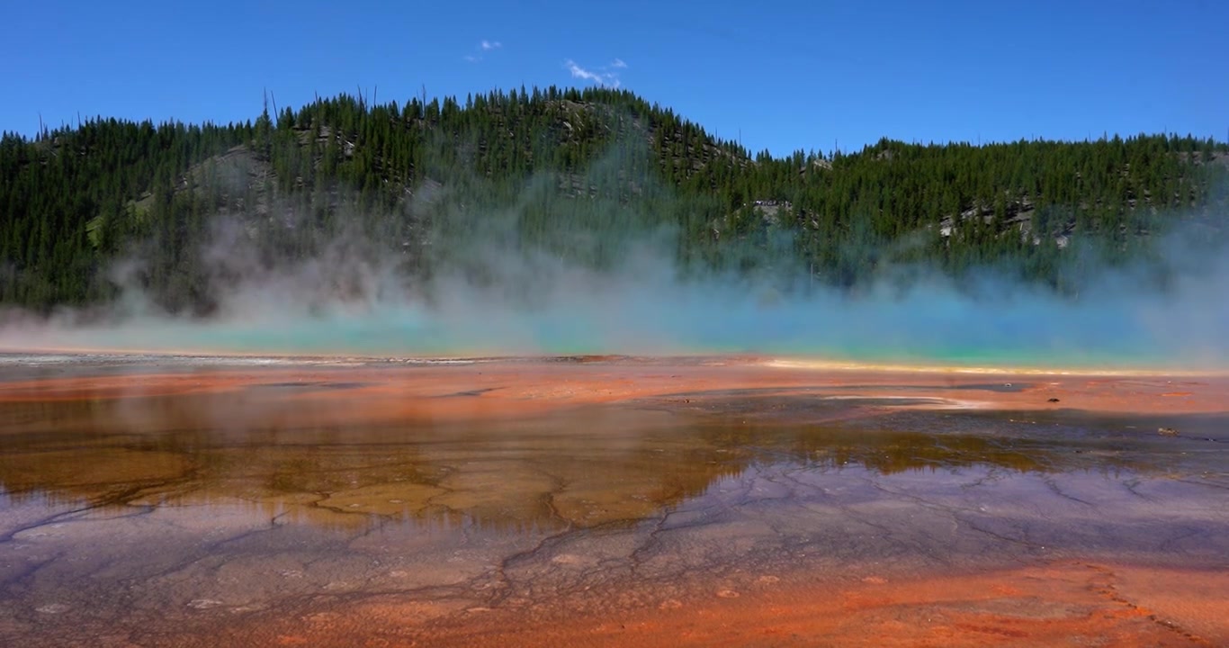 Grand Prismatic Spring, Yellowstone, som damper i dagslys, vidvinkelbilde