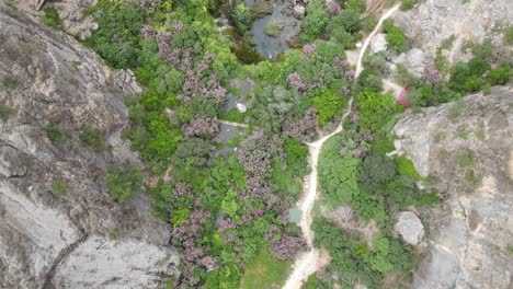 catarata verde del cañón