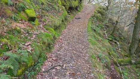 Pathway,-Country-Trail,-leading-through-woodlands-along-the-side-of-a-moorland-river